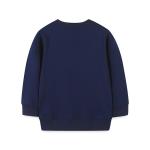 Autumn girls Patch Butterfly Sweatshirt wholesale Spring Winter long-sleeved