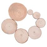 Bark Log 12cm Unfinished Wood Crafts Natural Wood Slices