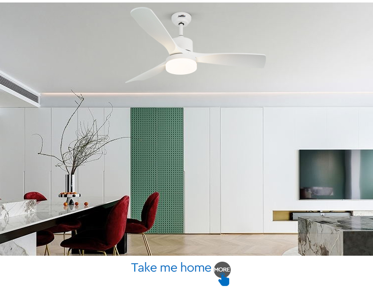ceiling fan