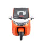 Three Wheel Adult Enclosed Scooter Trike 55km/H Central Locking