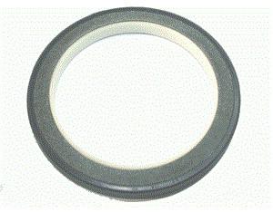 China Graphite Filled 16 Inch AISI A105 Carbon Steel Pipe Fitting on sale