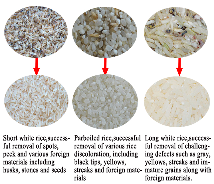 ISO Approved CCD256 256 Channels Hefei Rice Color Sorter High Accuracy
