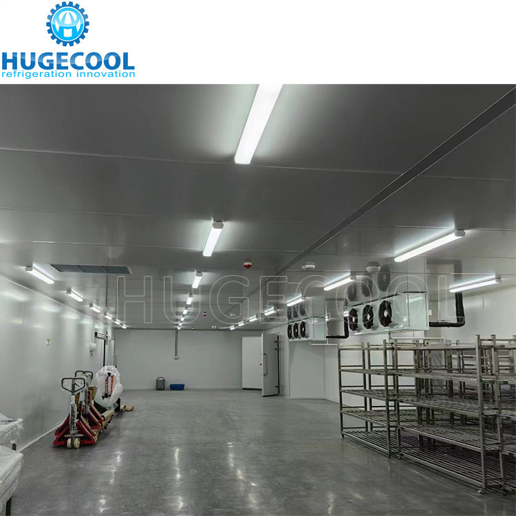 500m^2 Cold Storage Room Cooler Room for Fish