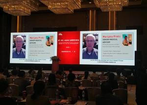 Quality Rent the Best Rental Display Projector 500*500mm/500x1000mm Panel Size 3000 1 Contrast Ratio wholesale