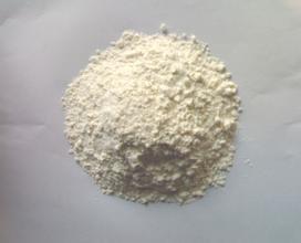 Quality Rice protein wholesale