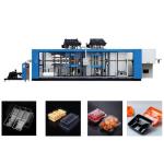 PLC Transparent Fruit Box Pressure Thermoforming Machine