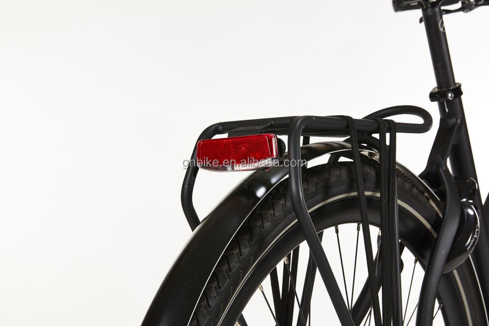 Bafang Central Motor 25KM/H 8.8AH Lithium Battery OEM CE Electric City Cargo Bicycle