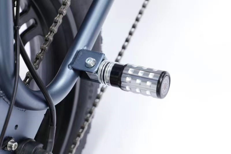 Full Suspension 48V Fat Tire Electric Bike 750W With LCD Display And Rear Hub Motor