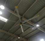 1.5kw Motor Super Large Industrial Sized Electric Hvls Fan
