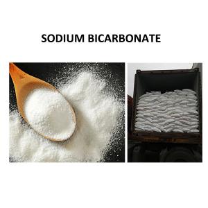 Quality Sodium Bicarbonate Food Grade Chemical Additives 144-55-8 wholesale