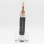 Low Voltage 0.6/1KV Flame Retardant XLPE Insulation Cable for Industrial
