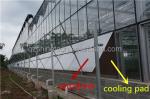 Super Strong Resistance Venlo Glass Greenhouse for Commercial Agricultural