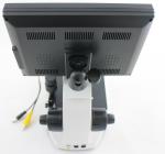 Colour Clincial Blood Analysis Medical Microscope For Improving Human Body