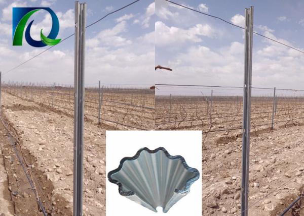 Heavy Duty Metal Grape Vine Trellis Posts In Iron Pallet Packing Erosion