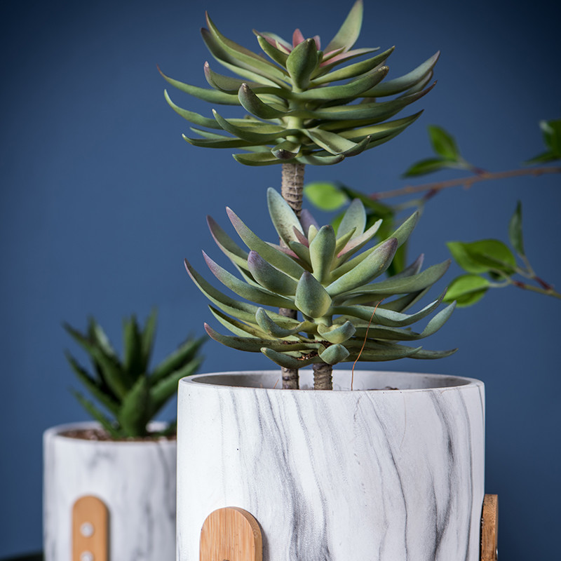 Mini Flower Pots Round Succulents Pot Planters Tabletop Flowerpots Cement Pot Planters Cactus Planters