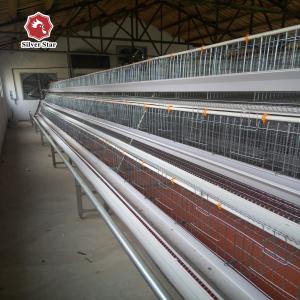 Quality Egg Laying Chicken Cage With Full Automatic System wholesale