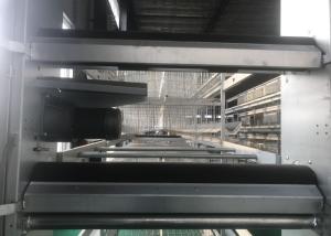 Quality Manure Removal Poultry Breeding Equipment Daily Management Easily wholesale