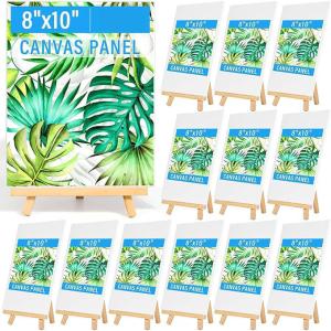 Quality 8 X 10 Inch Art Canvas Painting Kits With Wooden Easels Stands For Group Painting Kids wholesale