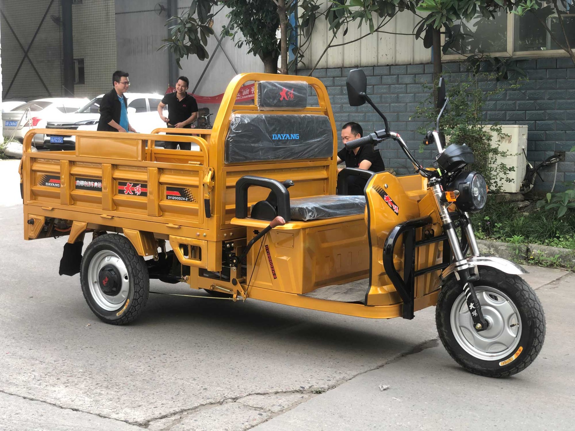 Cargo Tricycle 1000w 12000w 1500w Electric Adult Motorcycle Blue 3 Wheels CCC OEM
