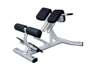 Quality Sliver Color Commercial Gym Exercise Equipment Back Extension Roman Chair wholesale