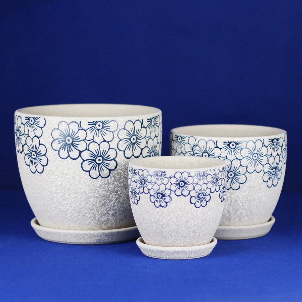 Beauty And Functionality Of Ceramic Pots For Any Plant Shop Small Size