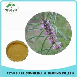 Quality Clear Heart and Regulate Menses Natural Motherwort Herb Extract wholesale