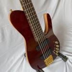 Custom Natural Wood Burl 5 Strings Electric Bass Guitar Maple Neck Through Ash