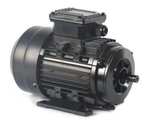 Quality Electric AC Motor 4HP-20HP IEC/Hollow Shaft IEC1/IEC3AC Motor 208/230/460v wholesale
