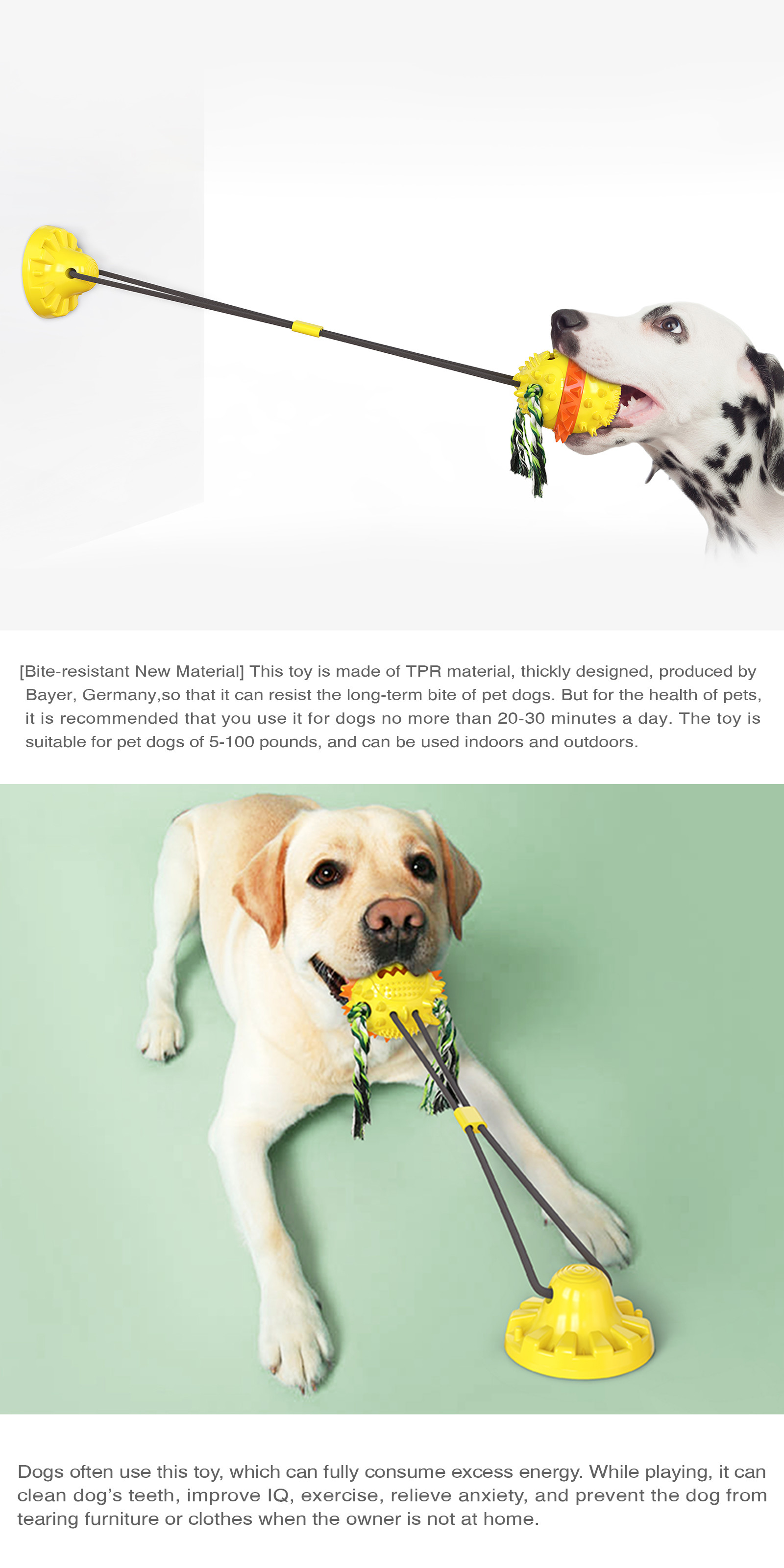 Slow Feeder Interactive Pet Toys Water Floating Dog Teeth Brushing Toy