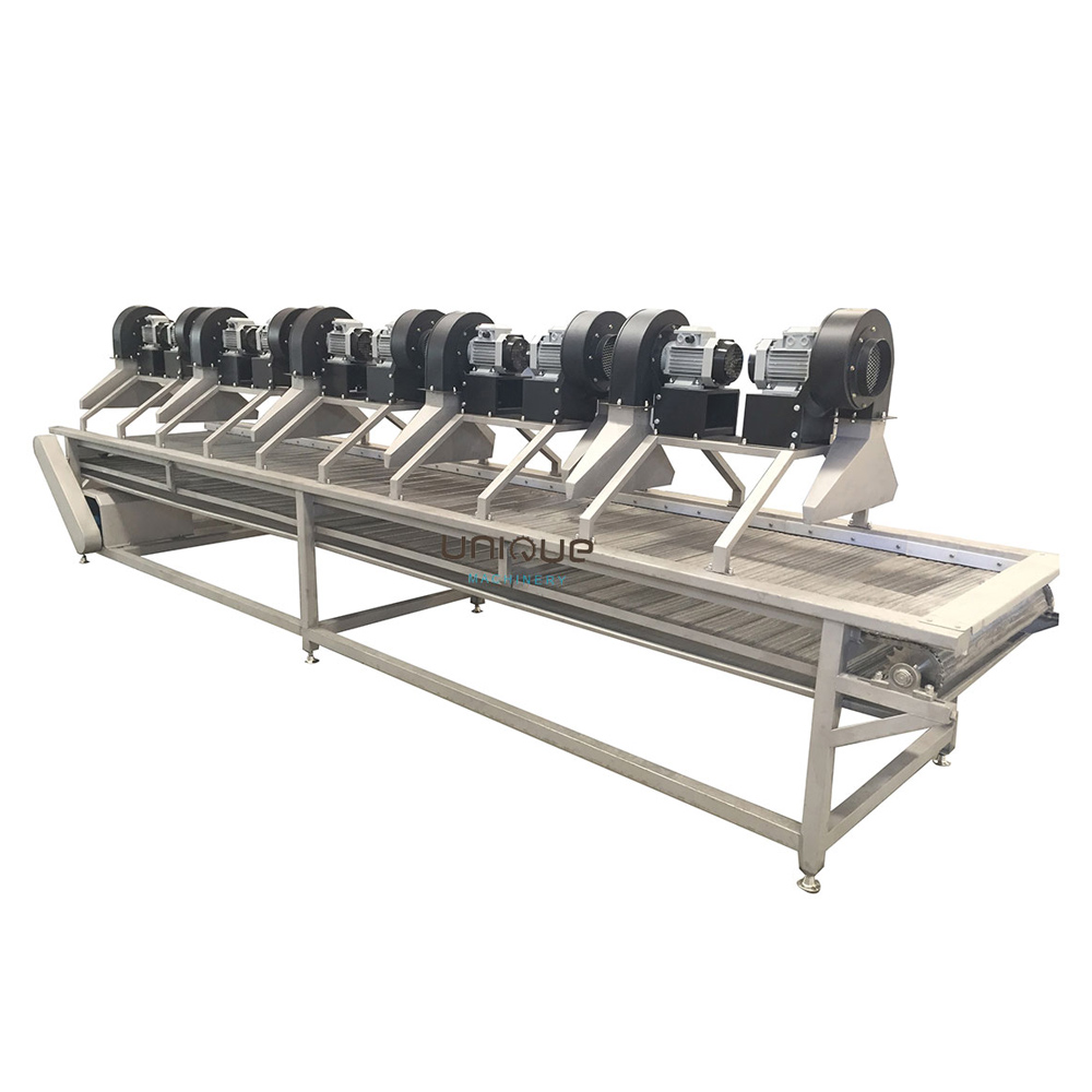 Restaurant Palm Dates Washing Machine with Selecting Conveyor in Stainless Steel 304