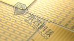 MultiTech- RT1000-IPG Jewelry PVD 24K / 18K Gold Coating Machine