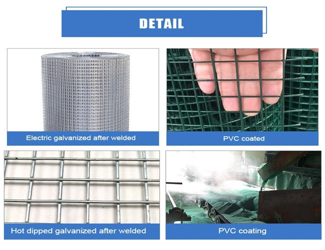 Bird Cage Stainless Steel Welded Mesh Panels W2m Galvanized