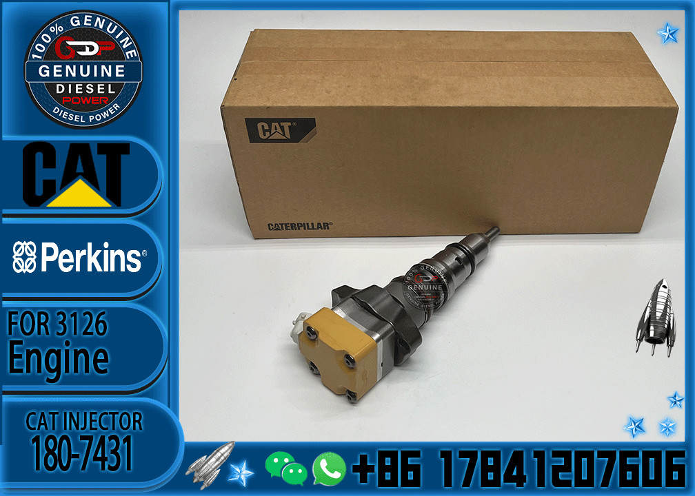 Common rail injector fuel injector 180-7431 198-6605 171-9710 218-4109 for 3216 Excavator 3126E 3126B