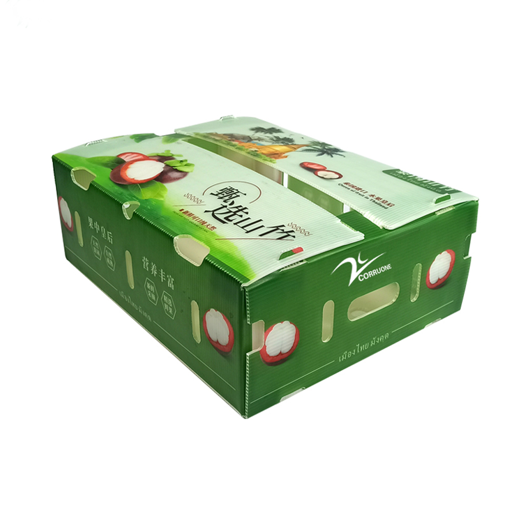 Ginger Box Ginger Plastic Box Fresh Ginger Plastic Packaging Box
