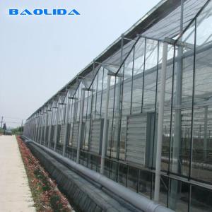 Quality Wind Resistant Prefabricated Multi Span Greenhouse Venlo Type Greenhouse wholesale
