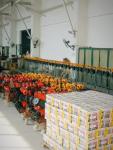 Big Capacity Hoist Lifting Devices Equipment Economical Slim Shape