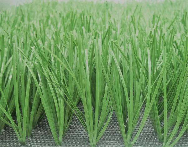 Lemon Grass Football Artificial Grass Baseball 50mm Artificial Cricket Pitch