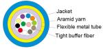 Indoor / Outdoor Armoured 12 core Fiber Optic Cable