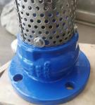 GGG50 H42X cast iron flanged foot valve manufacturer in China