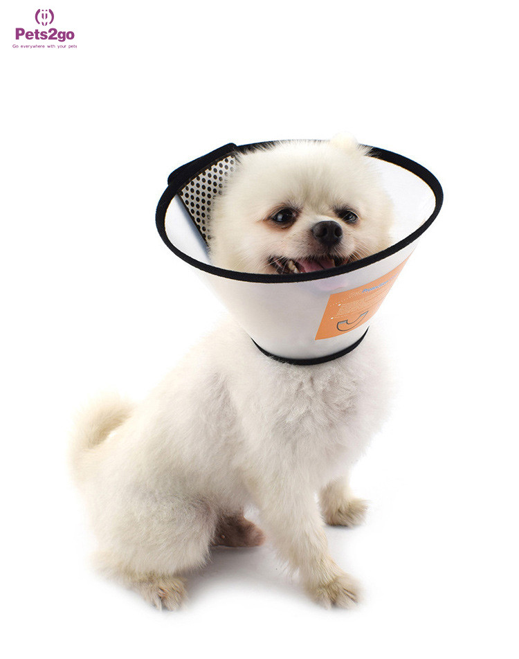 After Surgery Anti Bite Opp Bag 1kg Dog Recovery Cone
