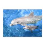 Animal New Cartoon Large Carpet Source Wholesale Feather ins Style Bedroom Floor