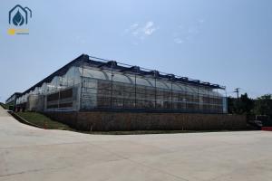 Quality Large Film Tunnel Vegetable Hot House Multi Span Tomato Watermelon Greenhouse wholesale