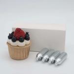 New Hot Selling Stainless Steel YiWhip Food Grade 24 Pack 8.5g Whipped Cream