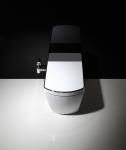 Bathroom Smart Toilet Automatic Washing Function intelligent toilet