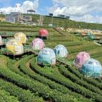 Transparent Glamping PC Dome House Clear Bubble Tent For Luxury Outdoor