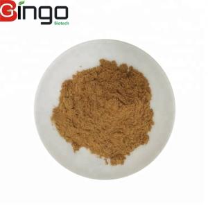 Quality Radix Notoginseng P.E./Pseudo-ginseng/san qi Herbal Dietary Supplement wholesale