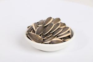 Quality Sunflower Seeds 363 wholesale