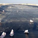 Black White Green Blue GB/ASTM GRI-GM13 Standard HDPE LDPE LLDPE PVC EPDM