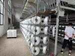 OEKO-TEX Standard 100 Certification Polyester Spun Yarn 20s/2