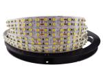 800LM/M 12V RGB Led Strip